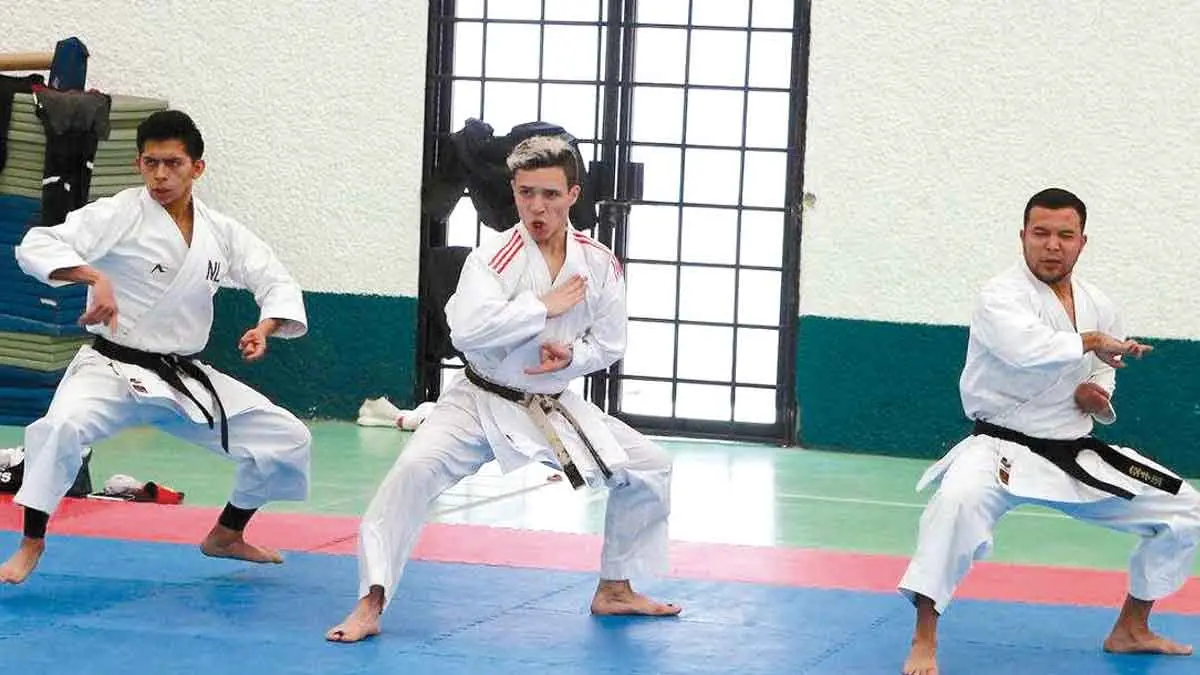 Femeka invita al primer nacional virtual de kata