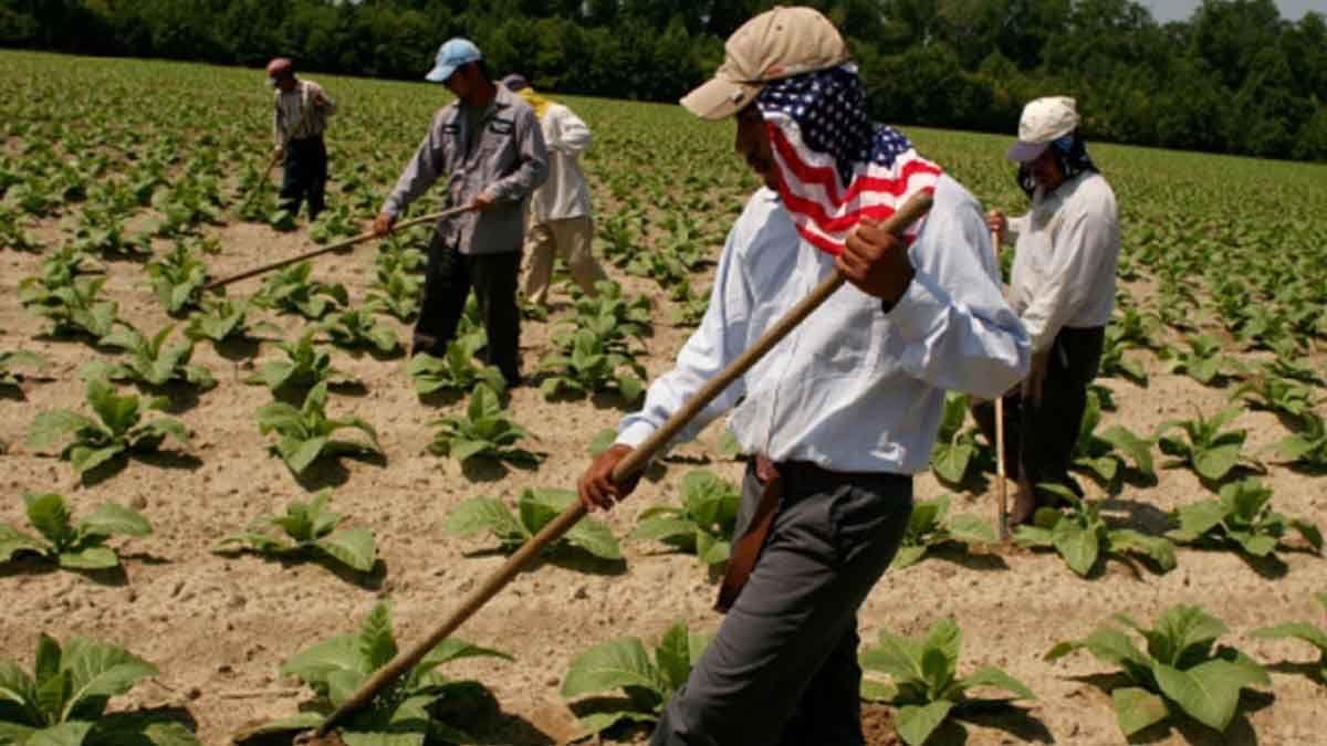 Campo de Sonora son mejores que los de EU