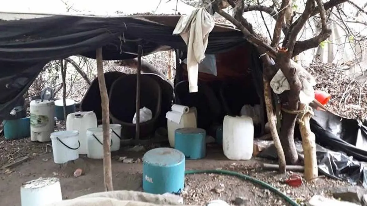 Golpe al narcotráfico en Sinaloa