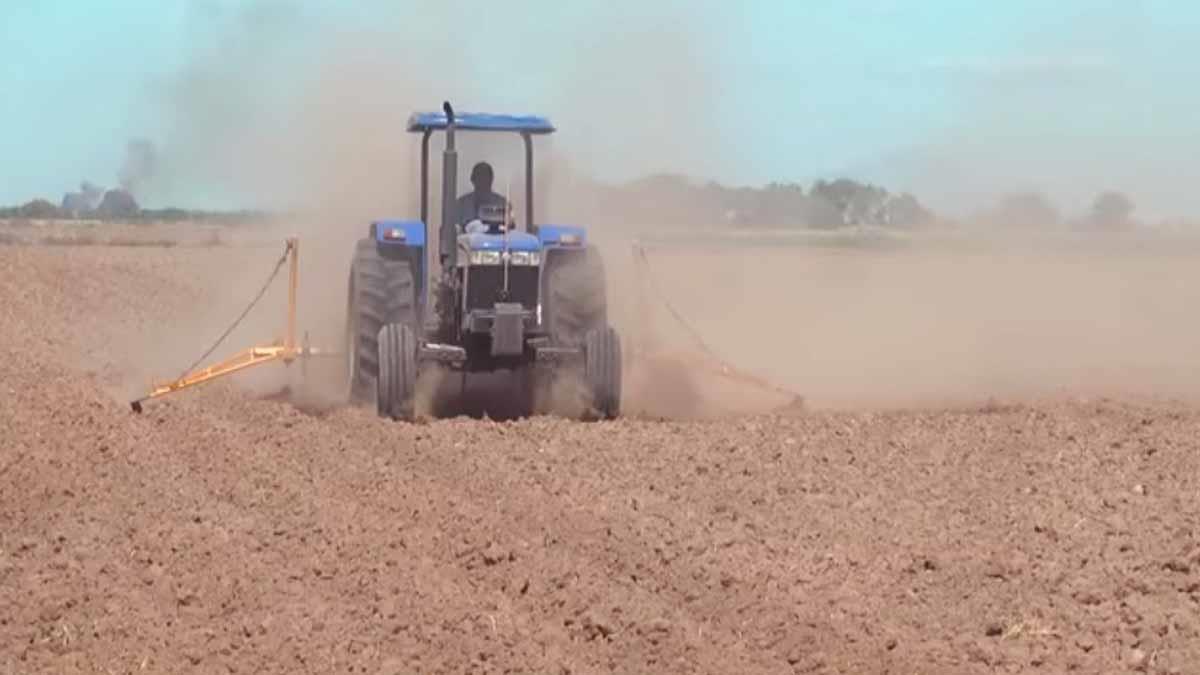 Sequía podría provocar pérdidas por 1,500 mdp en el campo