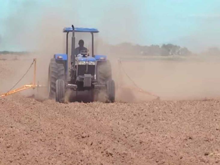Sequía podría provocar pérdidas por 1,500 mdp en el campo Sequía podría provocar pérdidas por 1,500 mdp en el campo