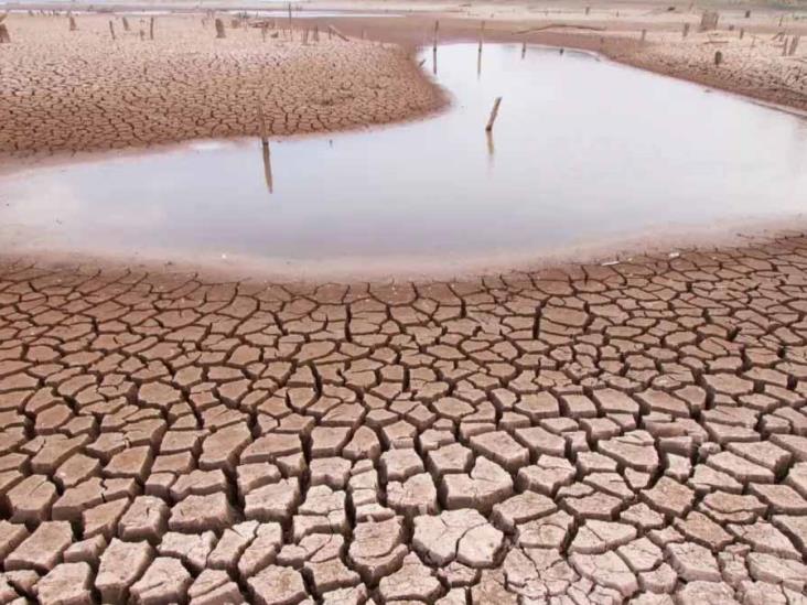 Sequía, pega fuerte al Municipio de Rosario Sequía, pega fuerte al Municipio de Rosario