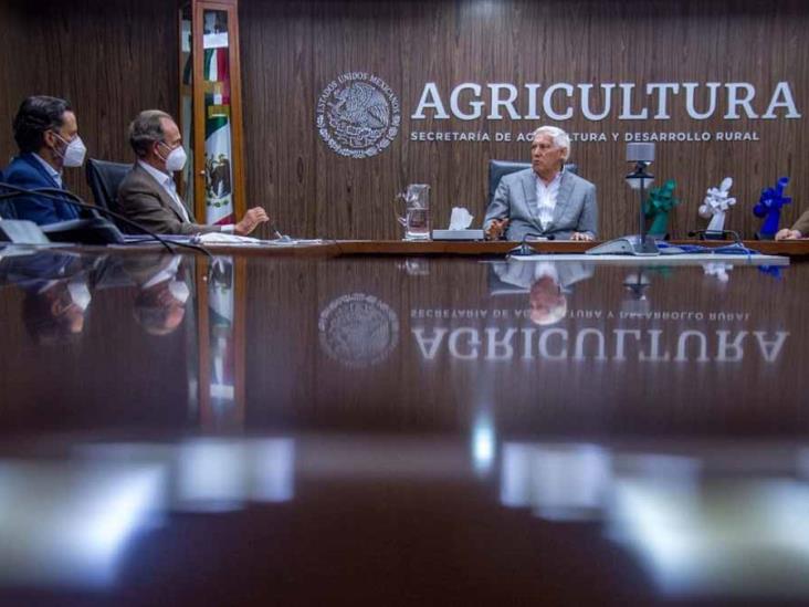 Alianzas son clave en el sector agroalimentario Alianzas son clave en el sector agroalimentario