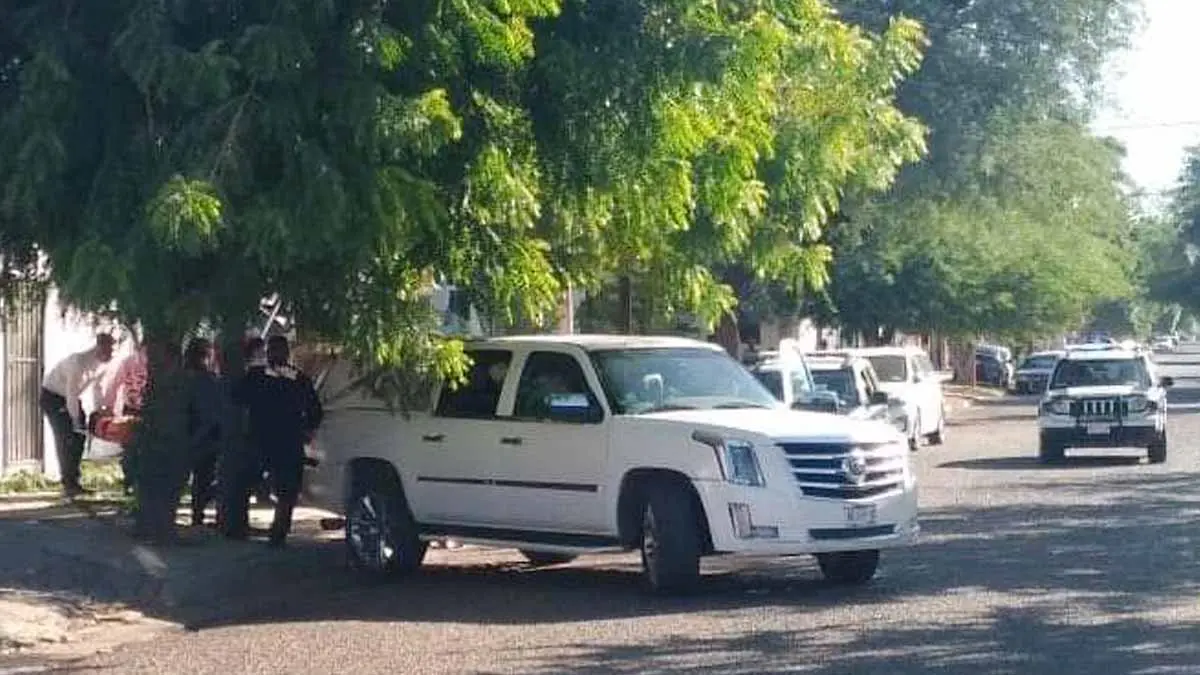 Muere de un infarto mientras cortaba un árbol