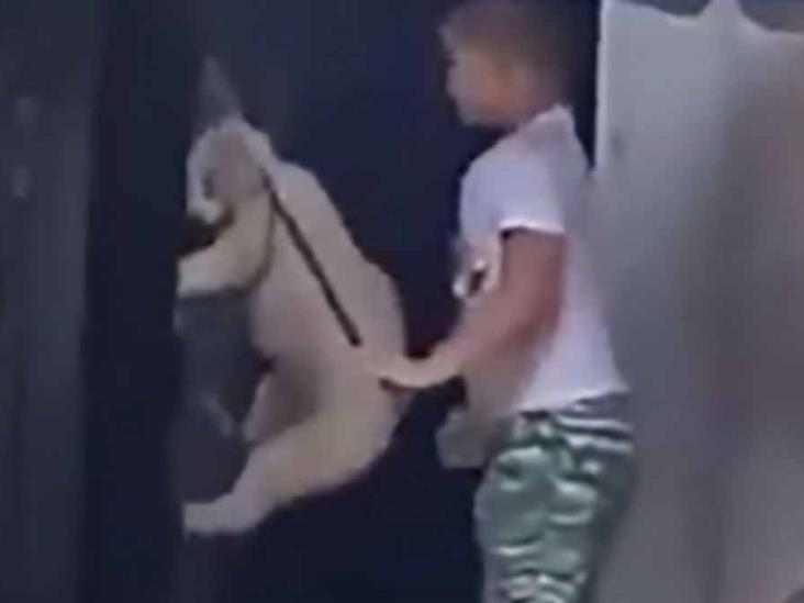 Niño cuelga a perrito Niño cuelga a perrito