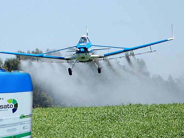 Urge que se prohíba el uso de glifosato Urge que se prohíba el uso de glifosato