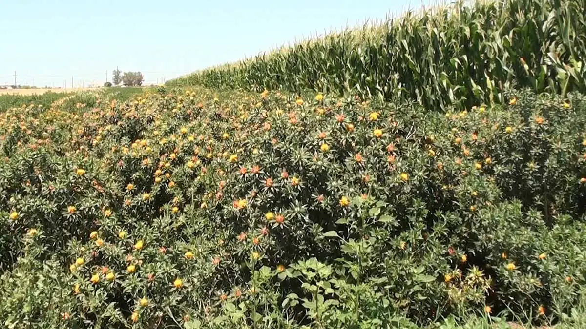 Requiere el agro cambiar