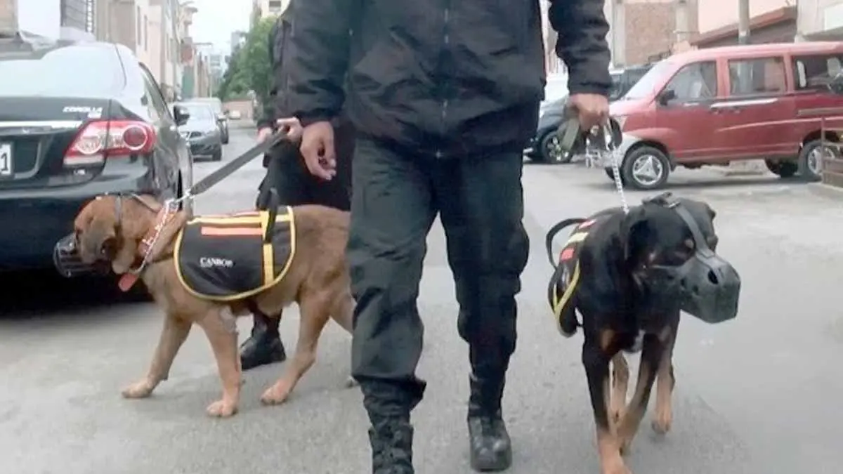 Muere estrangulada con las correas con que paseaba a sus perros