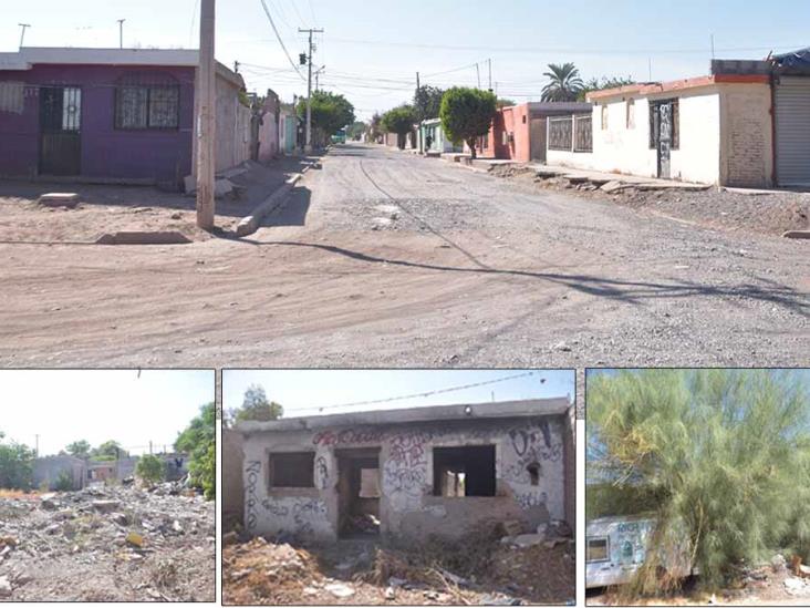 Diario en tu Colonia va a la £Machi López Diario en tu Colonia va a la £Machi López