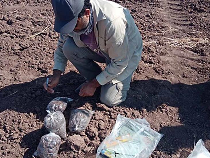 CIAD certificará los biofertilizantes CIAD certificará los biofertilizantes