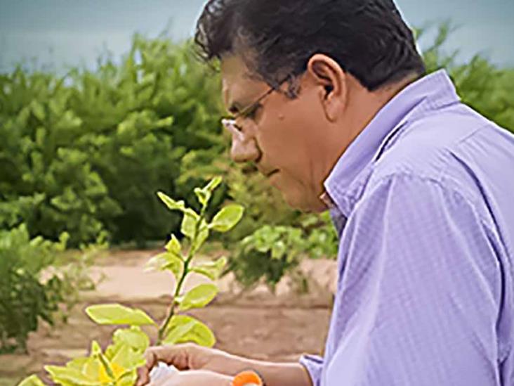 Entregan Premio Nacional de Sanidad Vegetal 2020 Entregan Premio Nacional de Sanidad Vegetal 2020