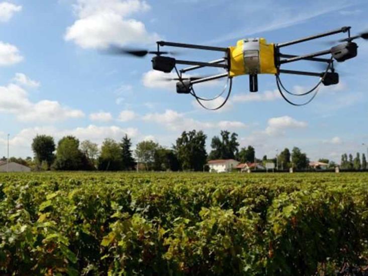 Utilizarán drones fumigadores Utilizarán drones fumigadores