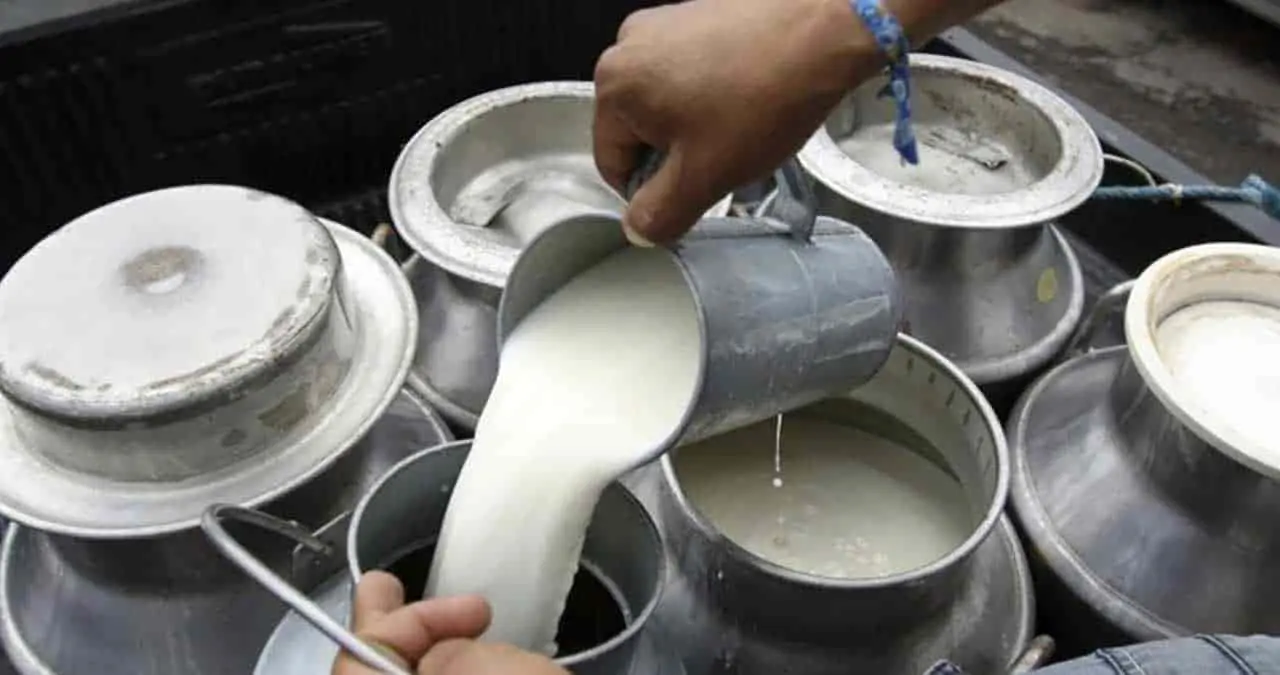 Autosuficiencia lechera da resultados en producción