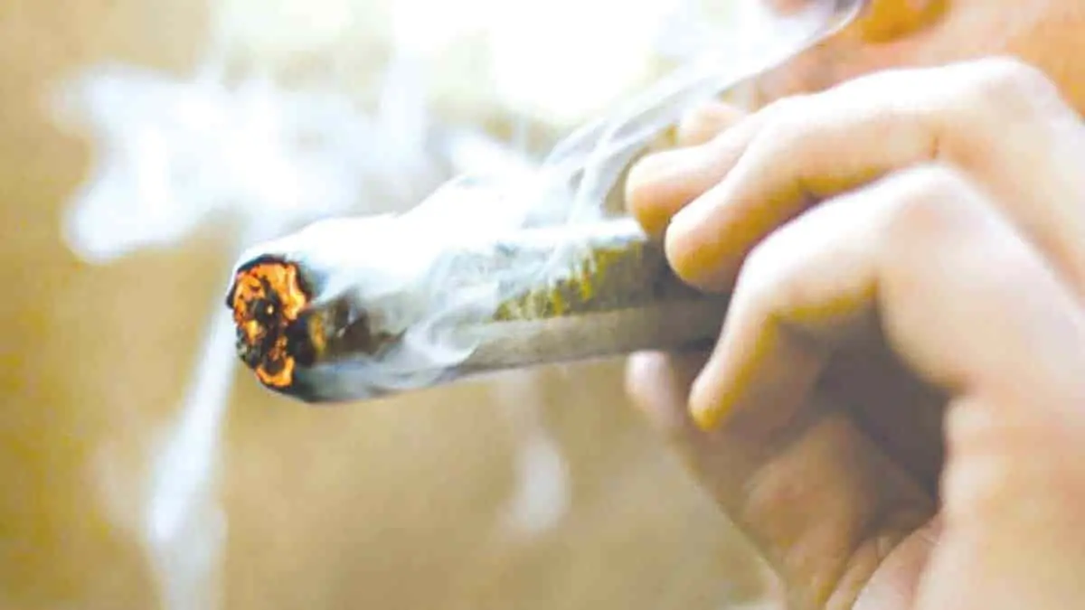 Rechaza Iglesia legalización de la mariguana