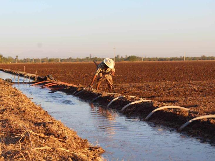 Lenta distribución de agua de riego Lenta distribución de agua de riego