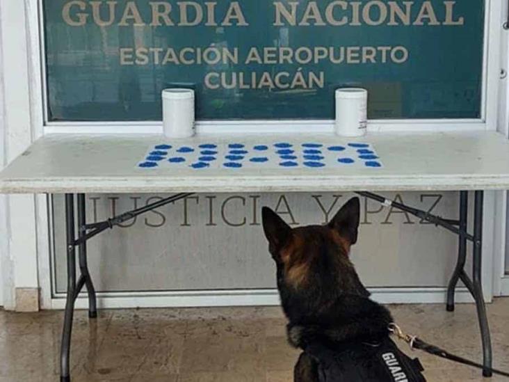 Les echan a perder la fiesta en Culiacán Les echan a perder la fiesta en Culiacán