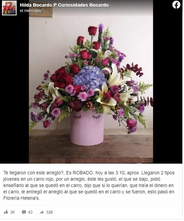imagen-cuerpo