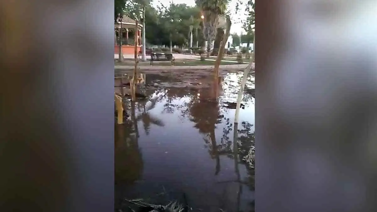 Acusan de causar daños en “ramada”