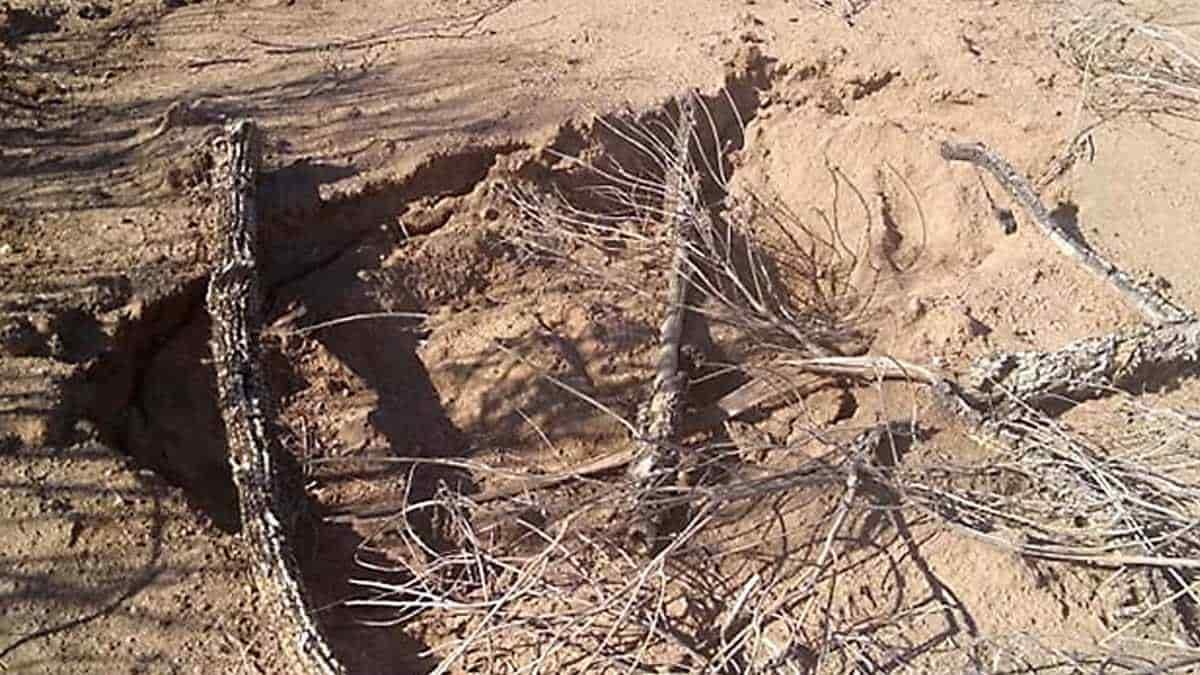 Madres Buscadoras encuentran cuerpo de un tesoro