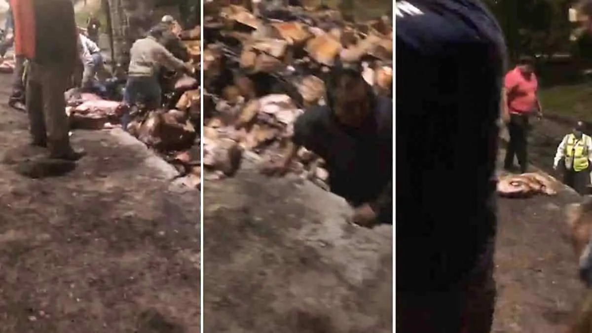 Carne de rapiña en tráiler no sirve para consumo