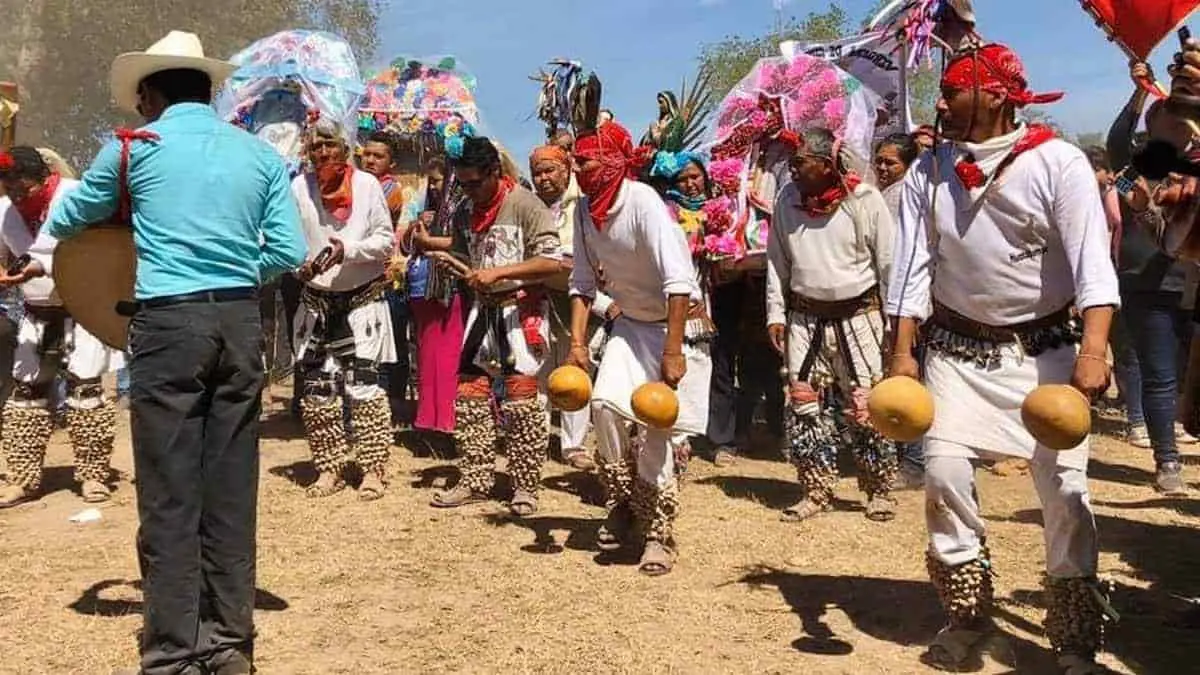 Trasmitirán tradiciones por redes sociales