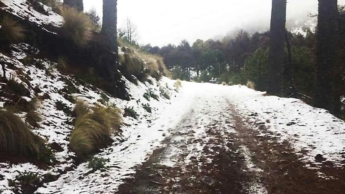 Descenderá la temperatura