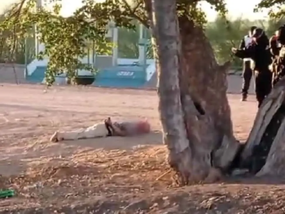 Hallan cadáver maniatado en el Valle del Yaqui