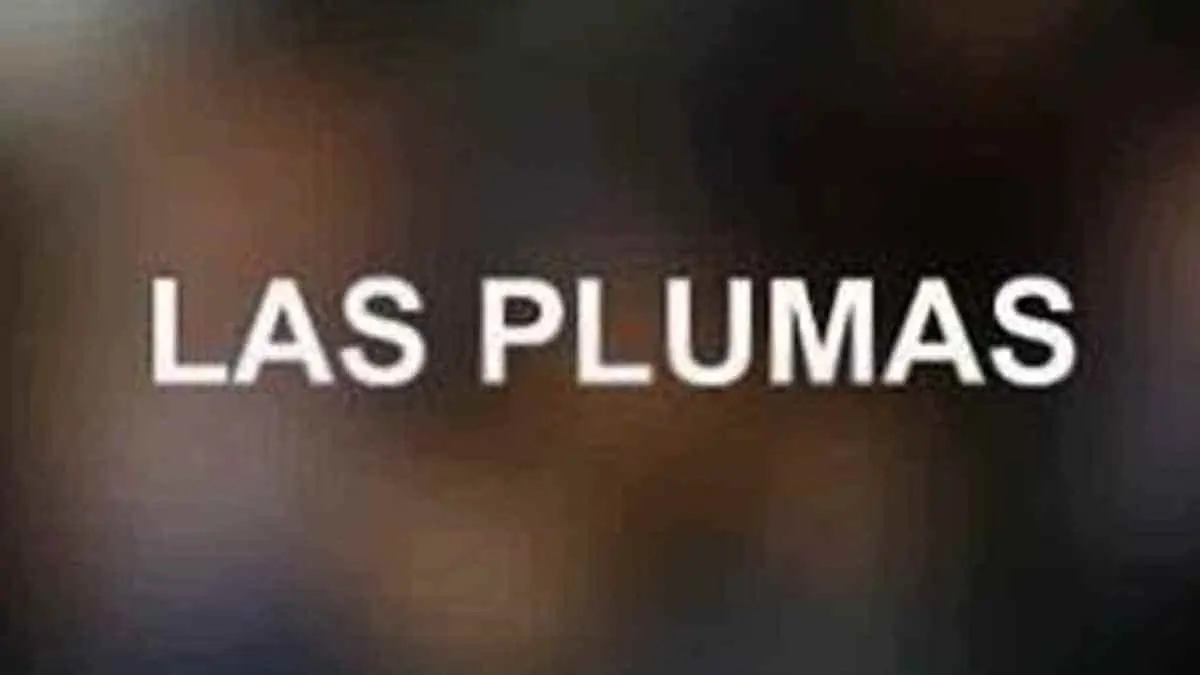 Posibles candidatos a la alcaldía municipal