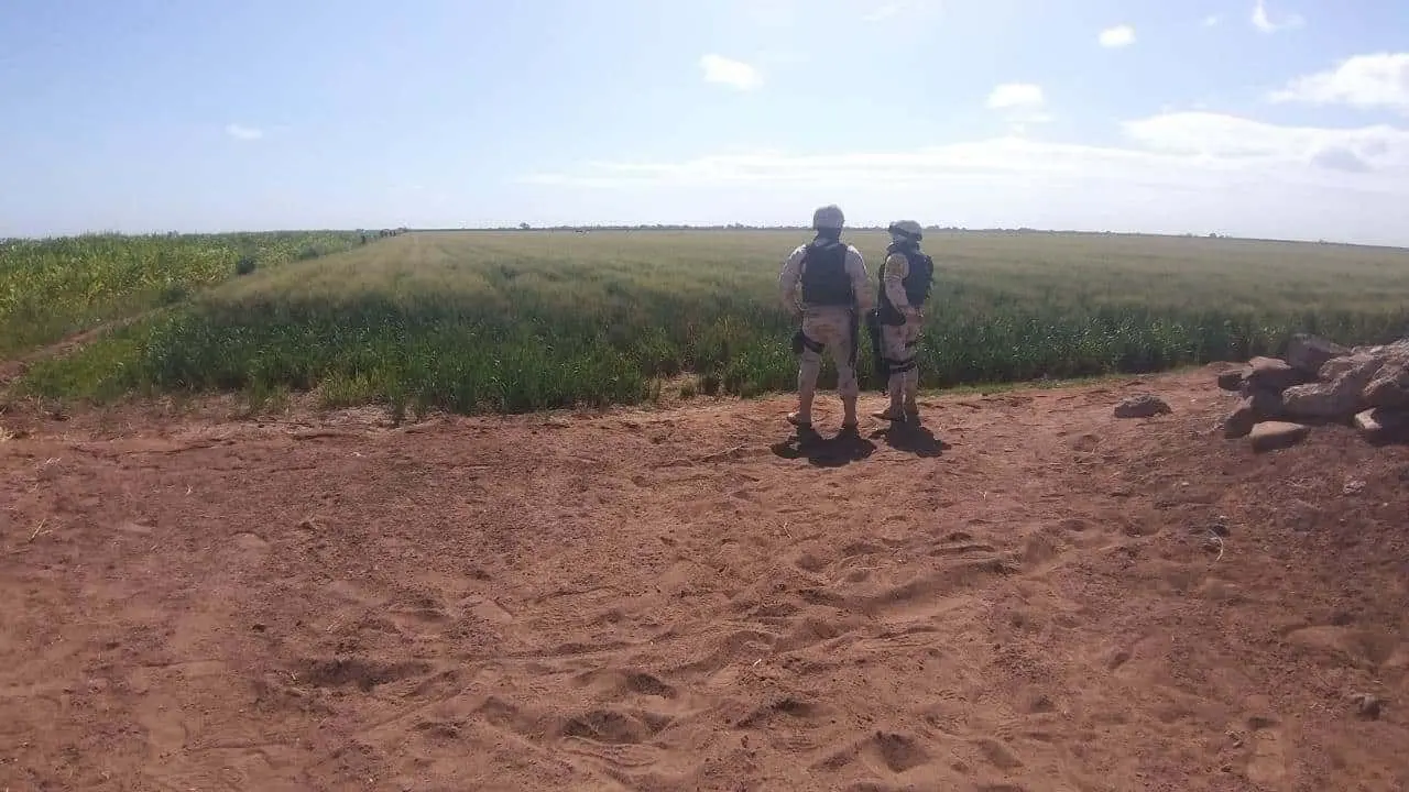 Se desploma avioneta en tierras de cultivo