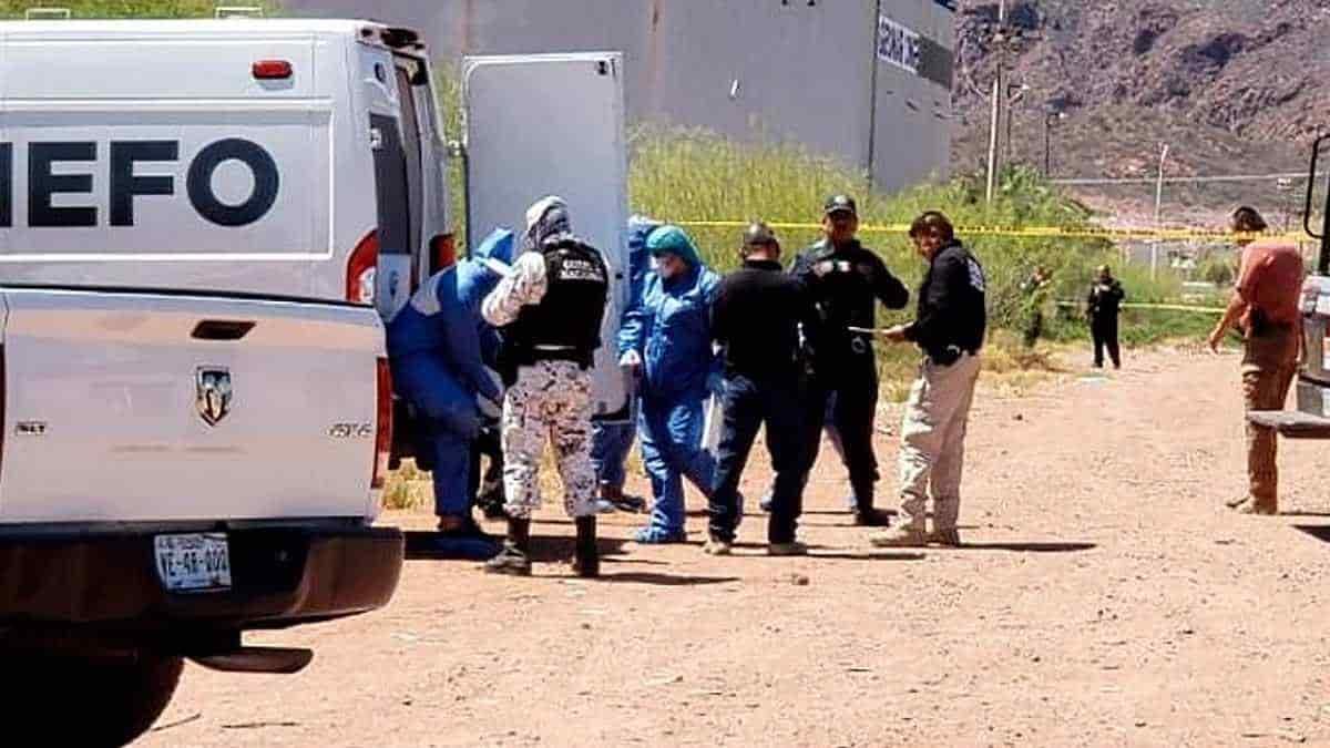 Hallan cadáver encajuelado en Guaymas