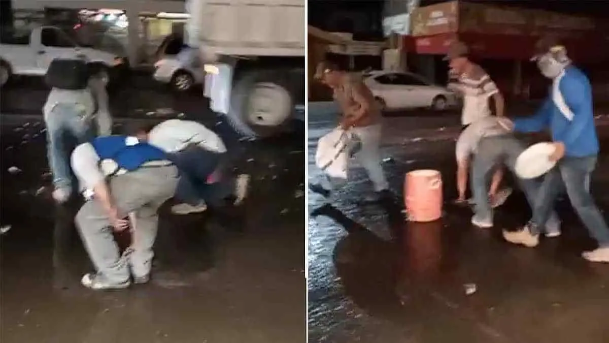 Se dan un festín de pescado por descuido de chofer