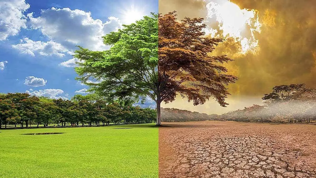 “Pega” fuerte cambio climático