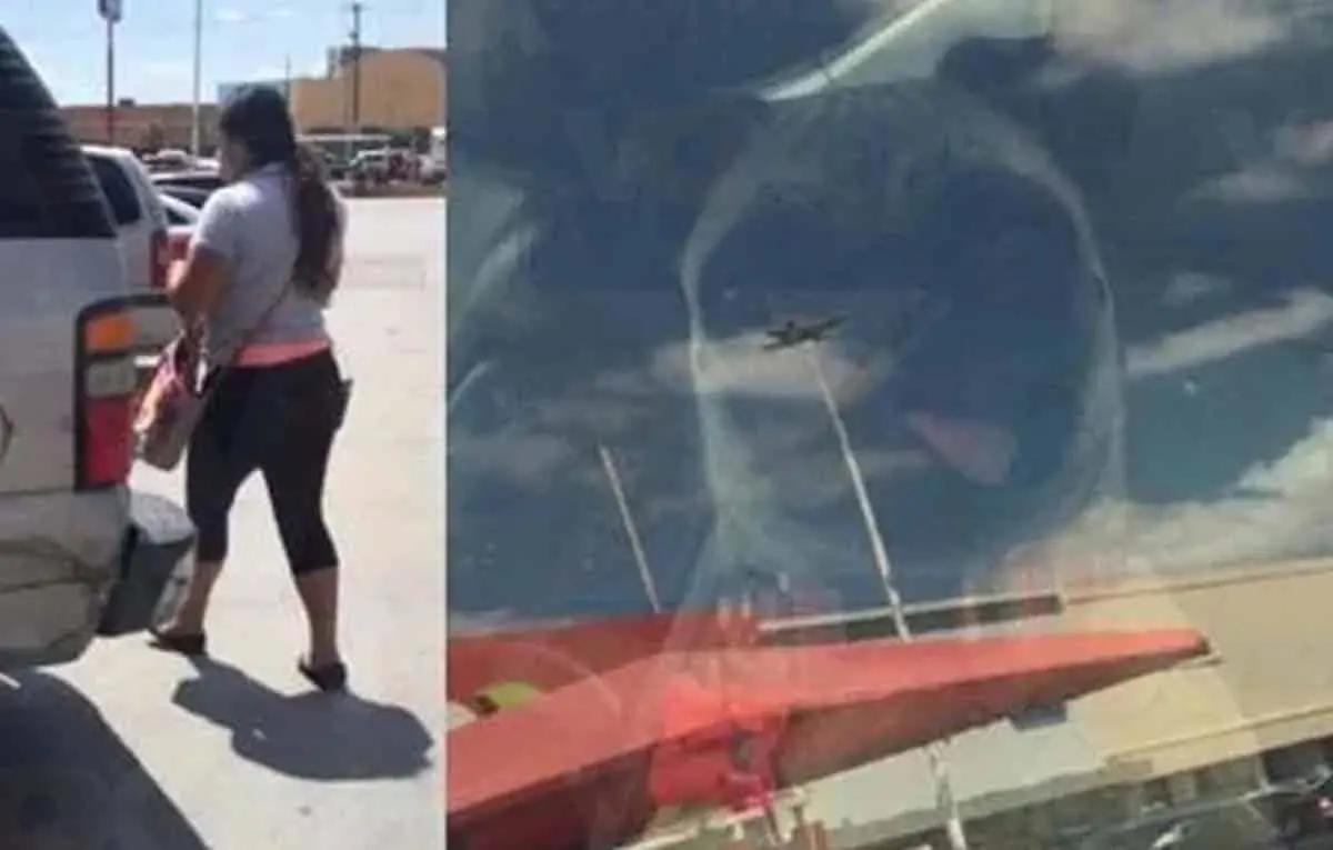 Mujer deja encerrado a perrito dentro del carro y las redes explotan