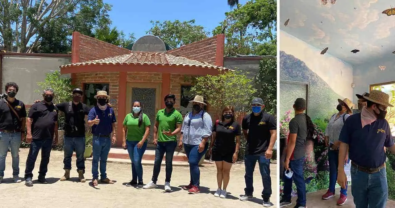 Llegan al Mariposario capullos desde Sinaloa