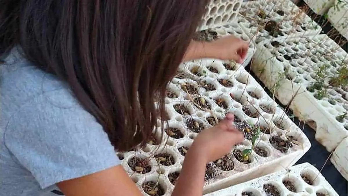 Actividades de Eco Jóvenes, en compás de espera