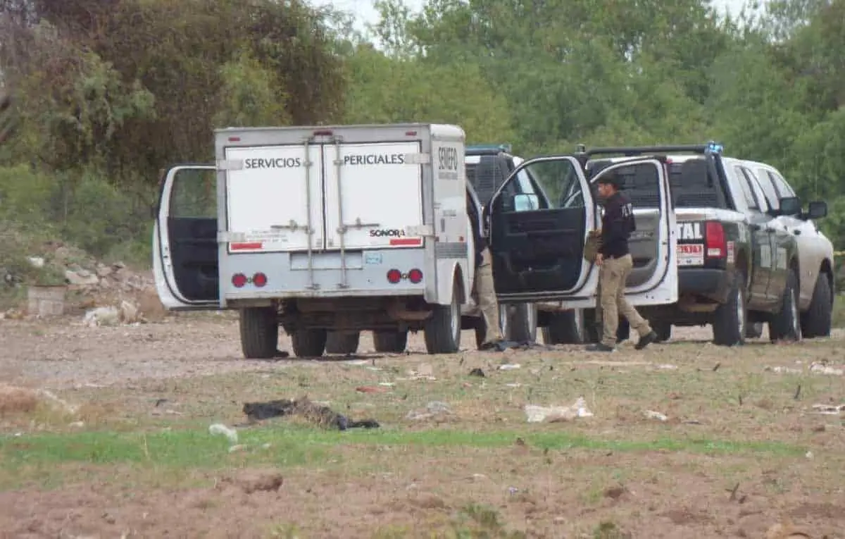 Ejecutan a dos hombres en desolado predio