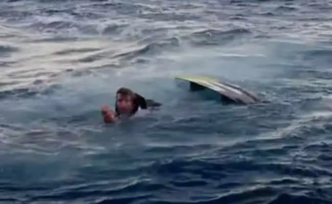 Video. Tiburón ataca y casi mata a actor de “Jackass”