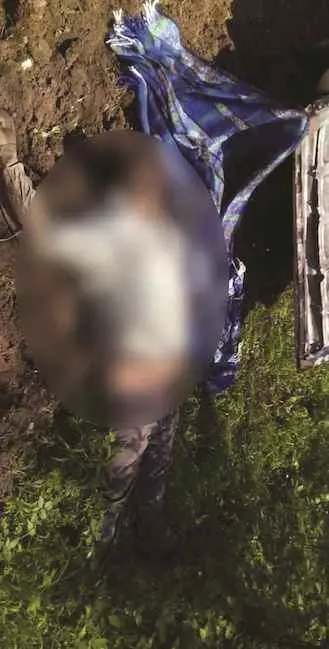 Abejas lo matan