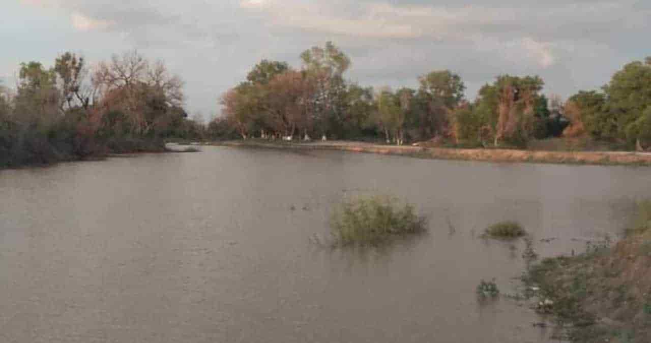 Sueltan agua al Río Mayo