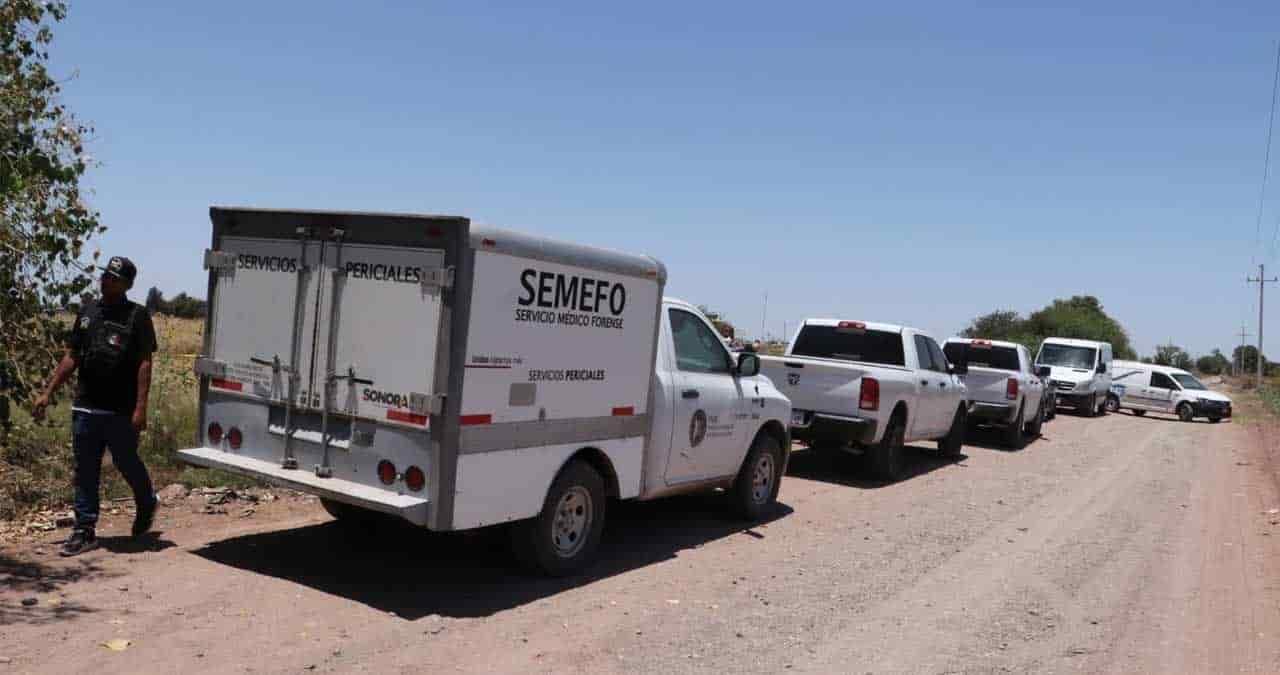 Hallan a hombre ejecutado en el Valle del Yaqui