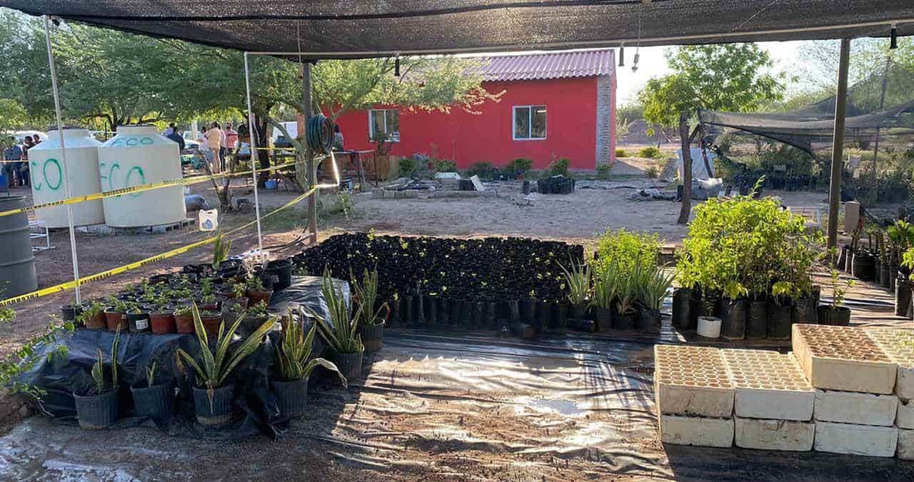 Eco Jóvenes inauguran su propio vivero para reforestar a Cajeme