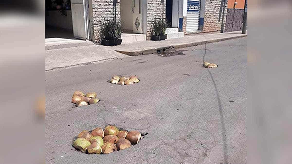 Tapan los baches con cáscara de coco