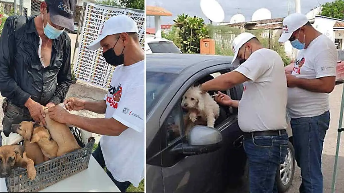 Un éxito la caravana “Bien Perrona”