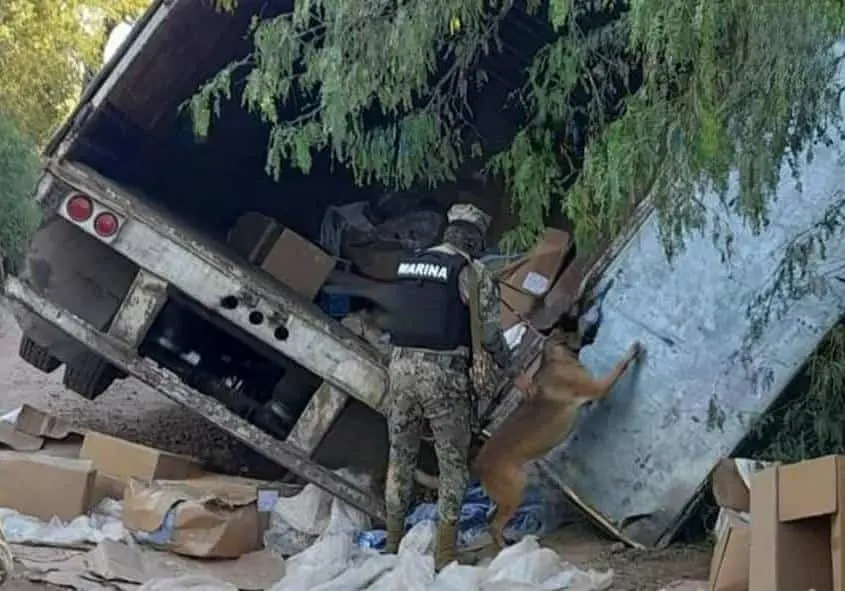Hallan caja de tráiler abandonada