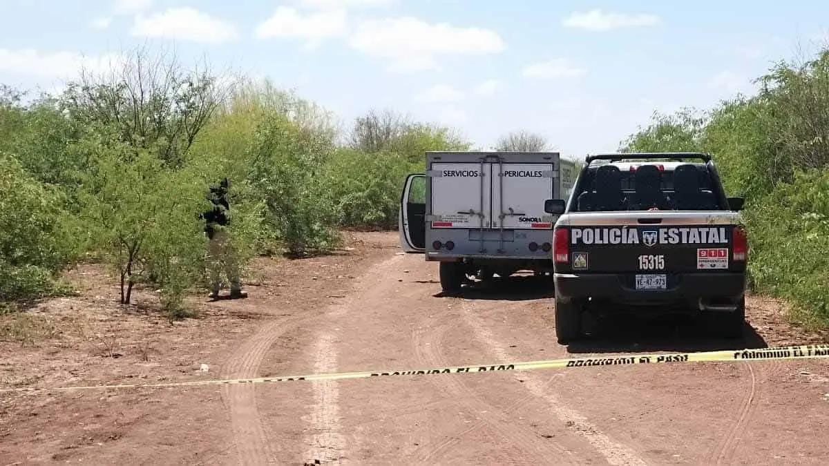 Hallan a mujer sin vida en el Valle del Yaqui
