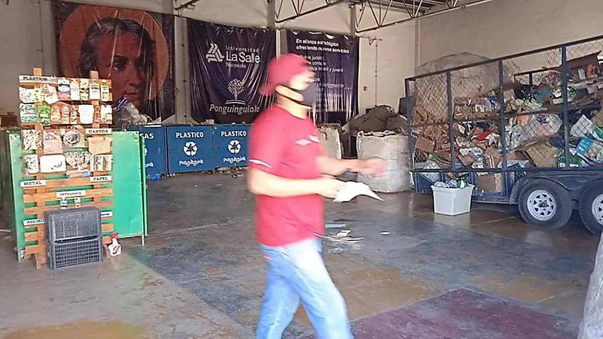 Incrementa el reciclaje de residuos sólidos en Cajeme