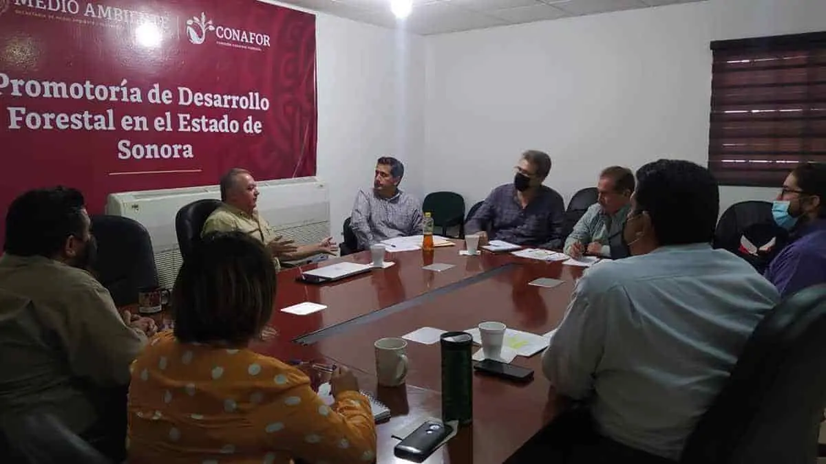 Coordinan acciones Sagarhpa y Conafor