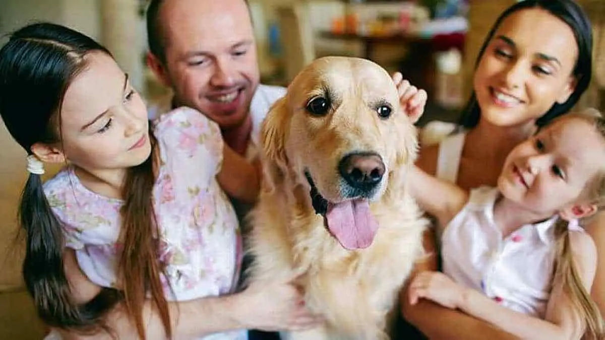 Animales de compañía son legalmente parte de la familia en España