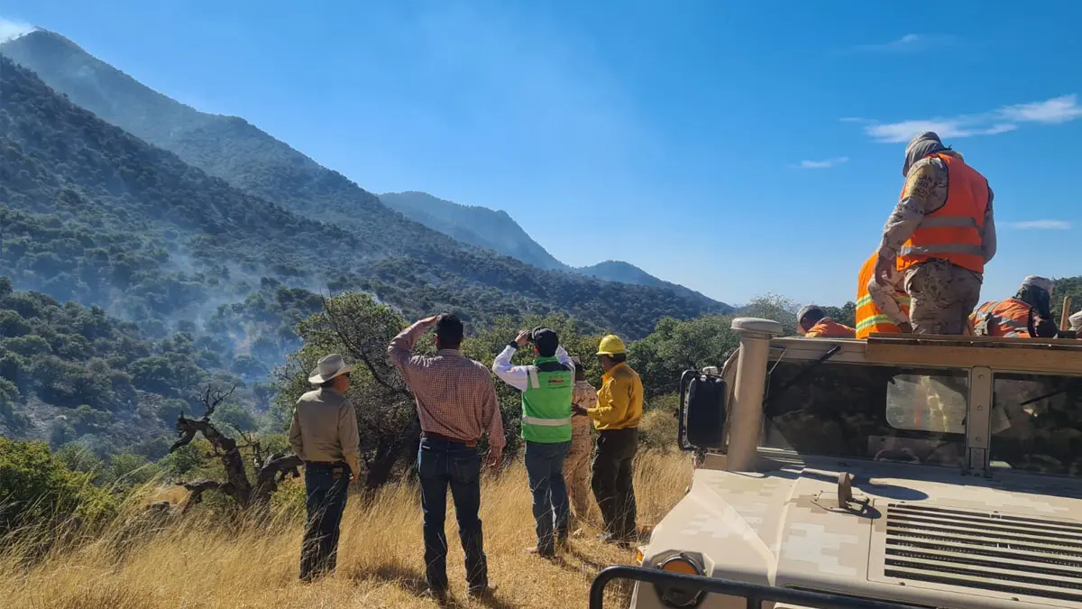 Extinguen incendio forestal de la sierra alta de Aconchi
