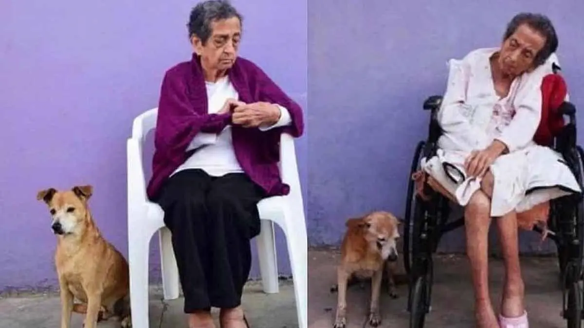 Mujer y su perro envejecen juntos, pero él se va primero